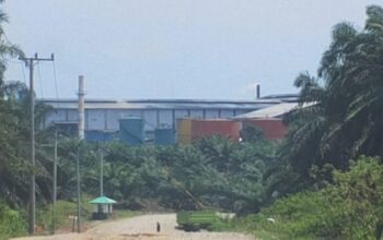Berita BLT dan Krisis Air, Oknum Kades di Bengkulu Utara Diduga Tekan Media