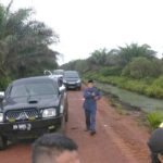 P3KD Riau Soroti Dugaan Alih Fungsi Kawasan Hutan Jadi Kebun Sawit di Dumai