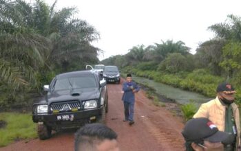 P3KD Riau Soroti Dugaan Alih Fungsi Kawasan Hutan Jadi Kebun Sawit