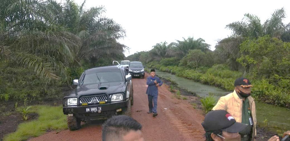 P3KD Riau Soroti Dugaan Alih Fungsi Kawasan Hutan Jadi Kebun Sawit