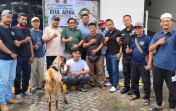 PWI Pokja Jakarta Barat Distribusikan Daging Kurban