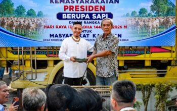 Pemkab Lebak Terima Bantuan Sapi Kurban Presiden