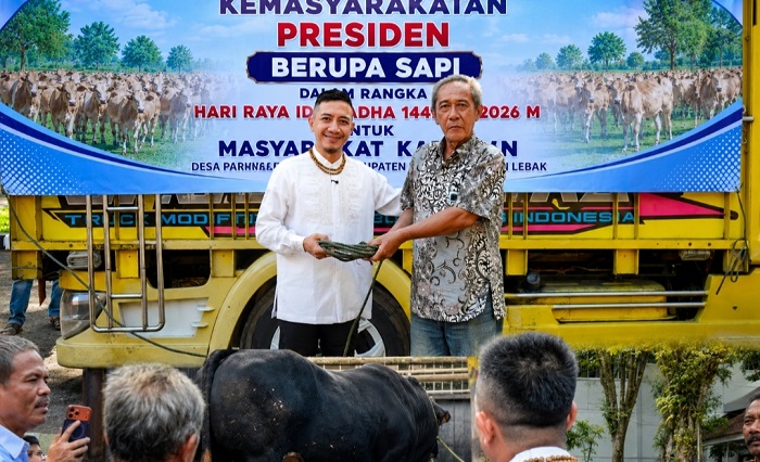 Pemkab Lebak Terima Bantuan Sapi Kurban Presiden