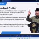 Terima 16 Ekor Sapi Kurban, Pemprov Lampung Siap Distribusikan Sapi Kurban Bantuan Presiden