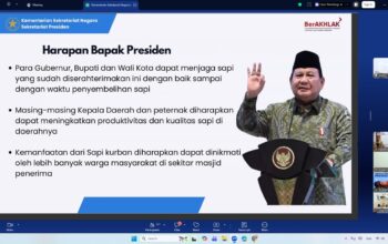Pemprov Lampung Siap Distribusikan Sapi Kurban Bantuan Presiden