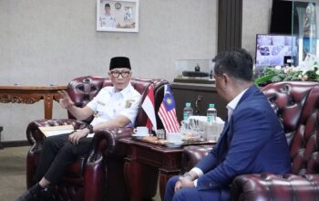 Perkuat Investasi Energi Hijau dan Rehabilitasi Mangrove