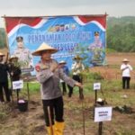 Polda Banten dan Polres Lebak Tanam 1.000 Pohon