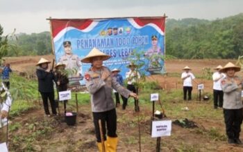 Polda Banten dan Polres Lebak Tanam 1.000 Pohon