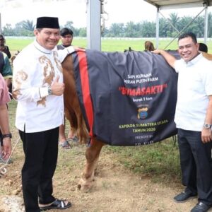 Polda Sumut Sembelih 31 Sapi Kurban Idul Adha 2026, Daging Dibagikan dalam 4.976 Paket