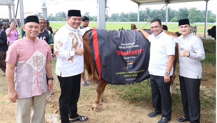 Polda Sumut Sembelih 31 Sapi Kurban Idul Adha 2026