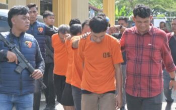 Polres Labusel Ungkap Pencurian Ternak, 6 Tersangka Diamankan—Lembu Kurban Berhasil Diselamatkan