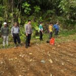 Polsek Sandai Bersama Pemdes dan Perusahaan Tanam Jagung Hibrida