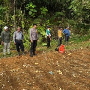 Polsek Sandai Bersama Pemdes dan Perusahaan Tanam Jagung Hibrida, Dukung Ketahanan Pangan Nasional