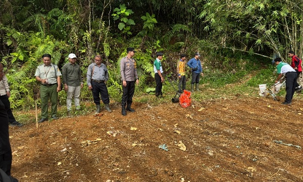 Polsek Sandai Bersama Pemdes dan Perusahaan Tanam Jagung Hibrida