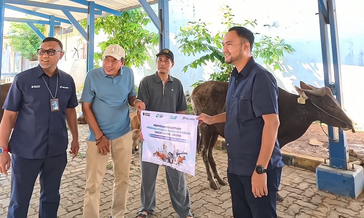 Program CSR Pelindo Sunda Kelapa Salurkan 6 Sapi Kurban