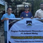 SMSI Madina Salurkan Hewan Qurban Bantuan PT Sorik Mas Mining