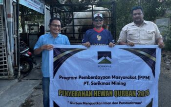 SMSI Madina Salurkan Hewan Qurban Bantuan PT Sorik Mas Mining