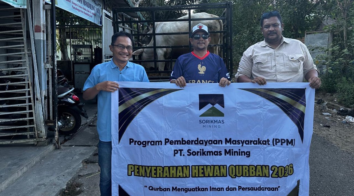 SMSI Madina Salurkan Hewan Qurban Bantuan PT Sorik Mas Mining