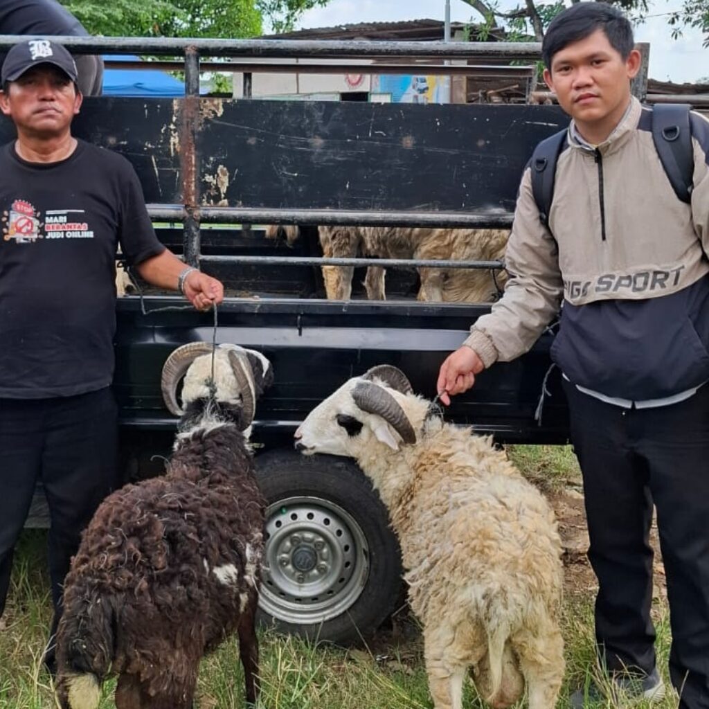 Warga RT 02 Cipondoh Kompak Gelar Qurban Idul Adha 1447 H, PHBI Musholla Al Ikhlas Apresiasi Semangat Gotong Royong
