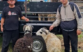 Warga RT 02 Cipondoh Kompak Gelar Qurban Idul Adha 1447 H, PHBI Musholla Al Ikhlas Apresiasi Semangat Gotong Royong