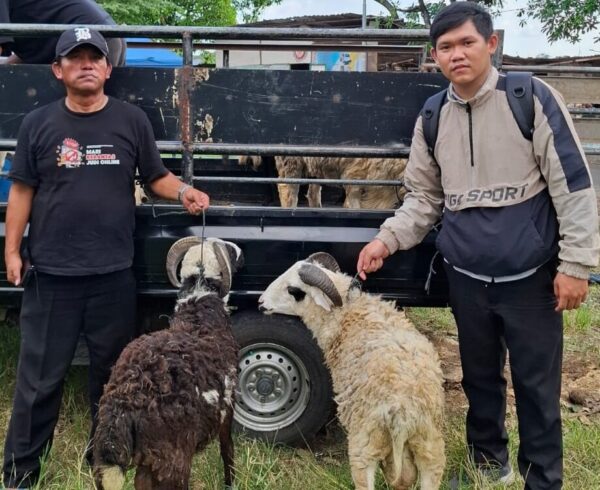 Warga RT 02 Cipondoh Kompak Gelar Qurban Idul Adha 1447 H, PHBI Musholla Al Ikhlas Apresiasi Semangat Gotong Royong