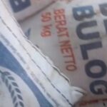 Beras BULOG dari Jawa Barat Tiba di Dumai dalam Kondisi Rusak, Ini Respons BULOG