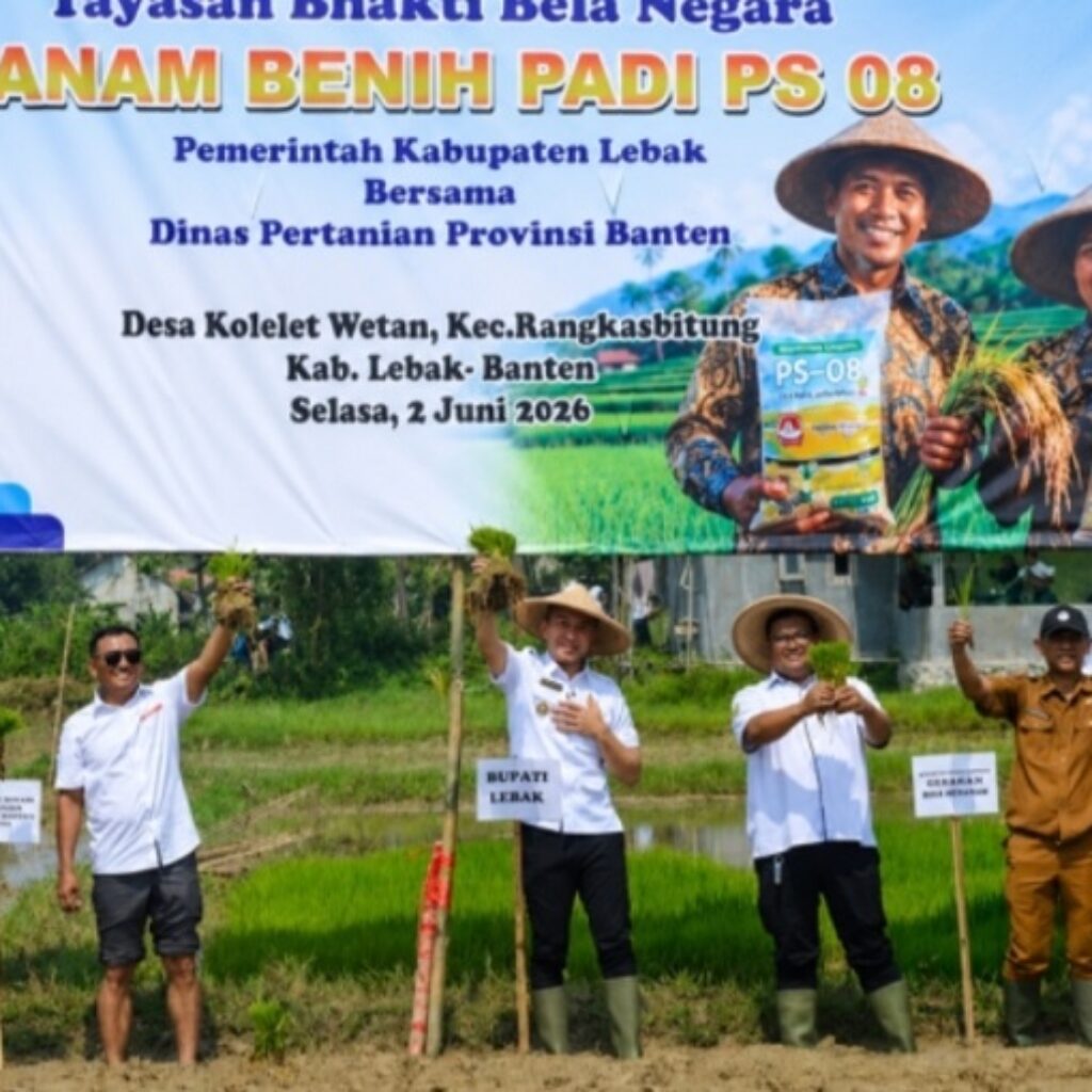 Bupati Hasbi dan Petani Tanam Padi PS 08, Lebak Siap Dukung Kedaulatan Pangan Nasional