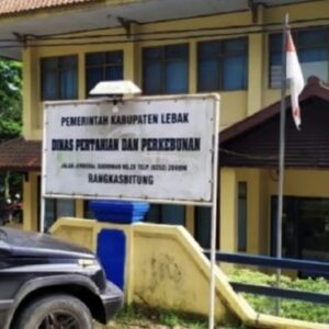Dinas Pertanian Lebak Anggarkan Rp4,99 Miliar untuk Pupuk Hayati Cair, Sasar 691 Kelompok Tani