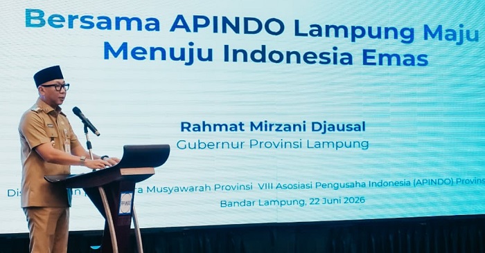 Gubernur Lampung Ajak APINDO Perkuat Investasi dan Hilirisasi