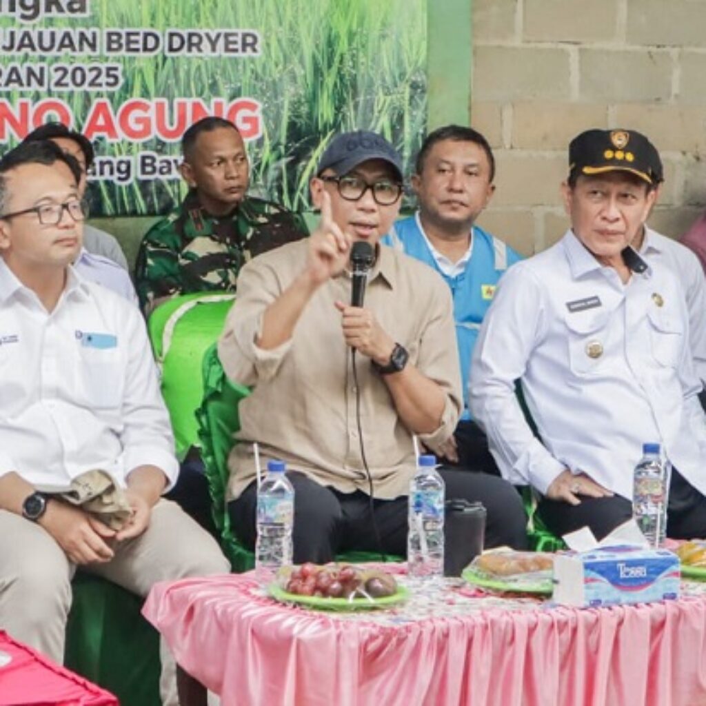 Gubernur Lampung Tinjau Bed Dryer di Rawa Jitu Selatan, Dorong Hilirisasi Pertanian dan Kenaikan Harga Gabah Petani