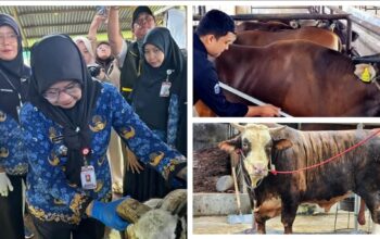 Iduladha 2026 di Lampung