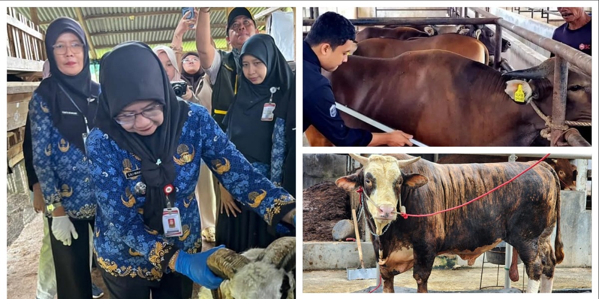 Iduladha 2026 di Lampung