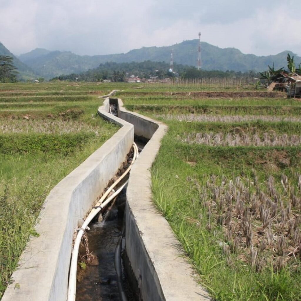 Inpres Irigasi Perkuat Swasembada Pangan, Kementerian PU Pastikan Pasokan Air untuk 338 Hektare Sawah di Bogor