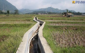 Inpres Irigasi Perkuat Swasembada Pangan