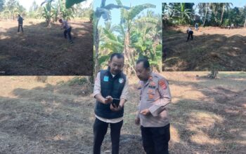 Kapolsek Carita Bersama Petani Gelar Tanam Jagung Hibrida