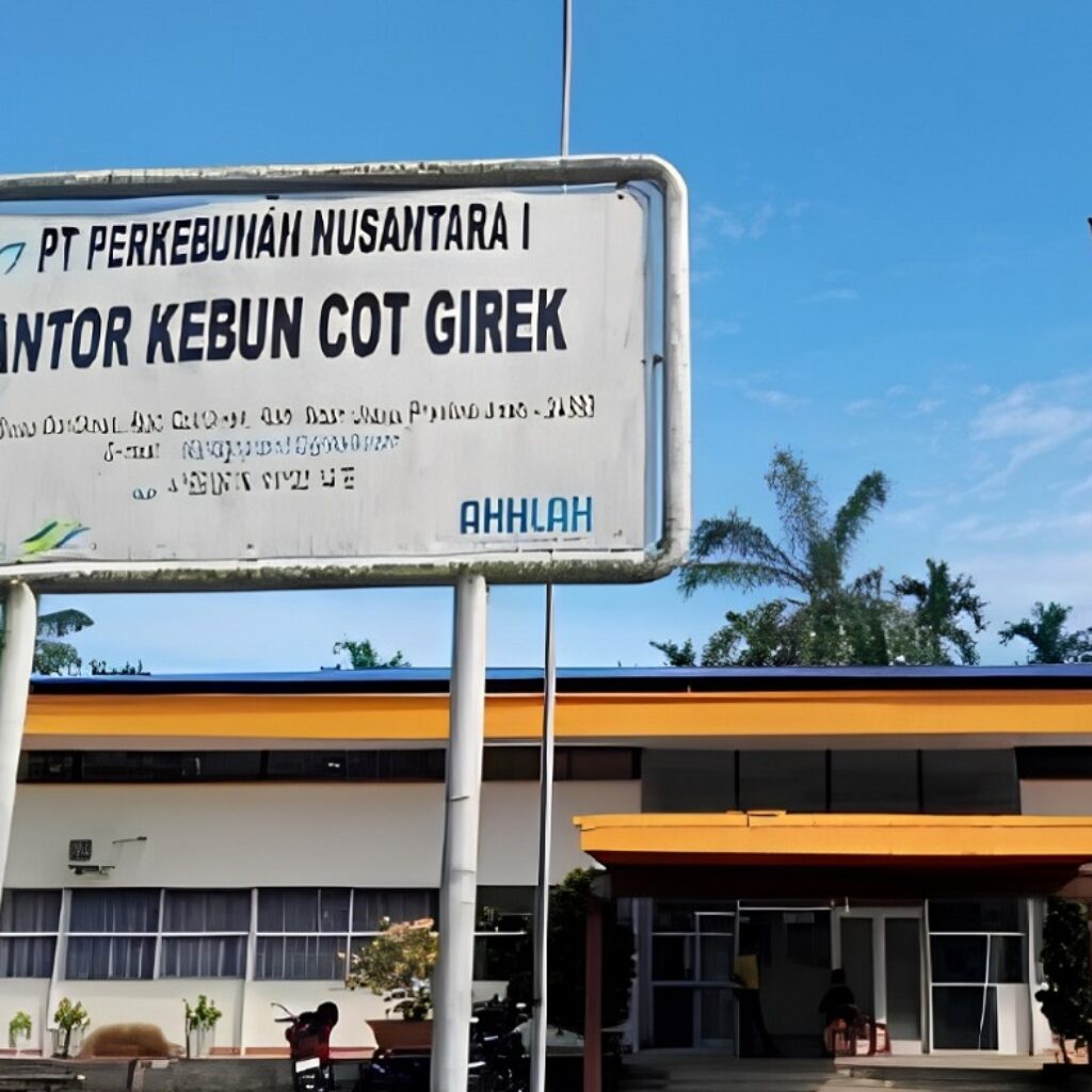 PTPN IV Klaim Rugi Rp62,6 Miliar Akibat Dugaan Okupasi dan Penjarahan Kebun Sawit Cot Girek
