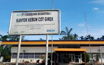 PTPN IV Klaim Rugi Rp62,6 Miliar Akibat Dugaan Okupasi dan Penjarahan