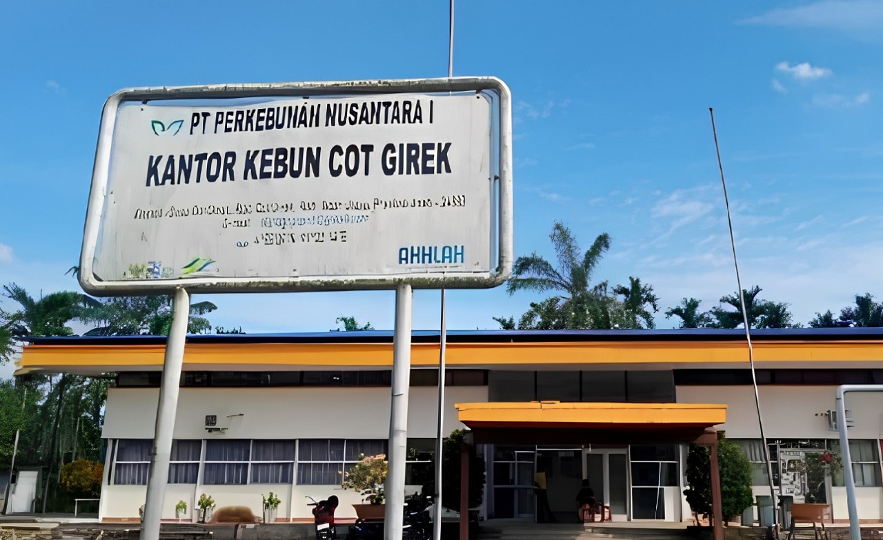 PTPN IV Klaim Rugi Rp62,6 Miliar Akibat Dugaan Okupasi dan Penjarahan