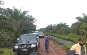 Perkara Lingkungan Hidup di Dumai Kembali Dikaji, Hubungan Ayu Junaidi dan Koperasi Jadi Sorotan