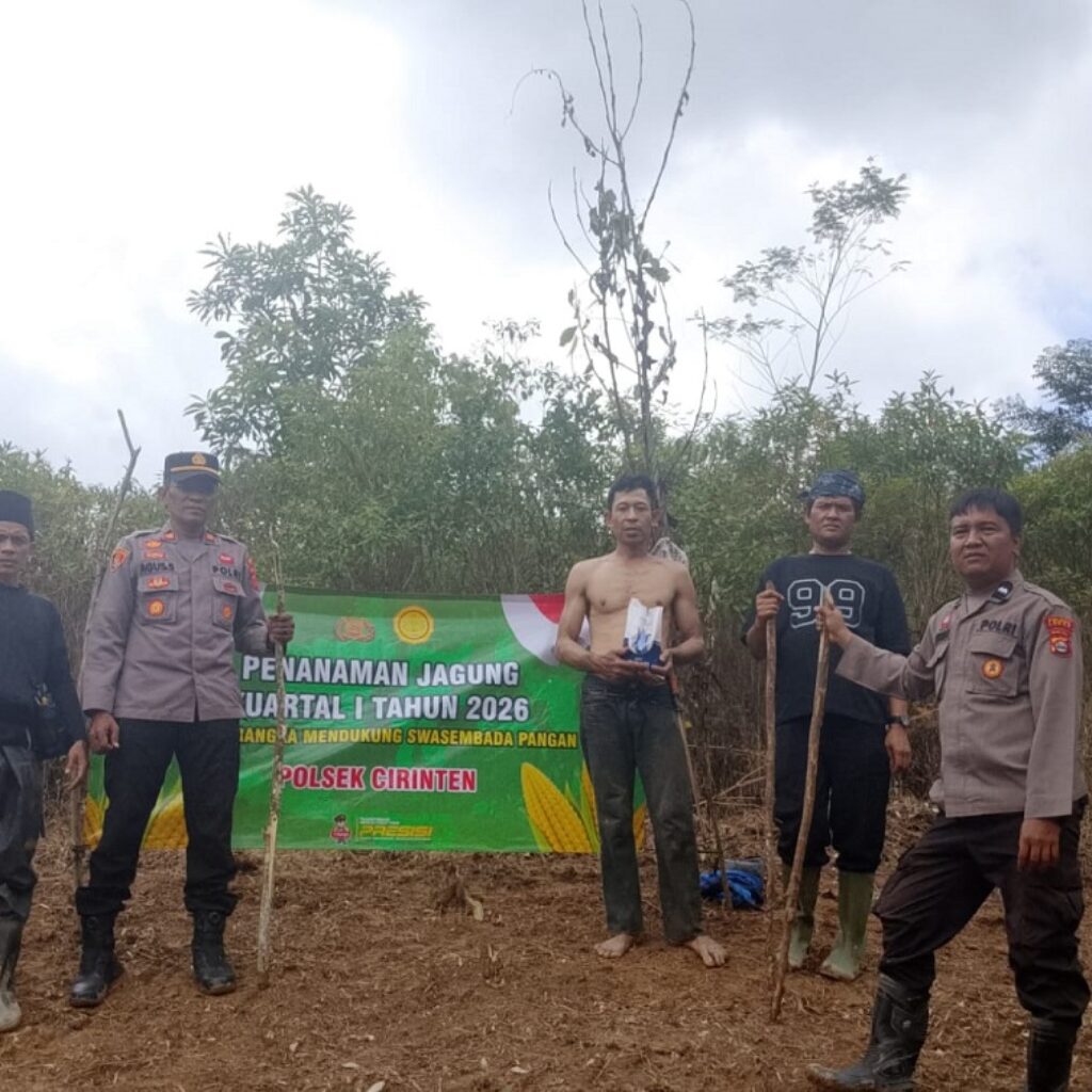 Dukung Program Presiden, Polsek Cirinten Tanam Jagung Varietas Unggul di Kabupaten Lebak
