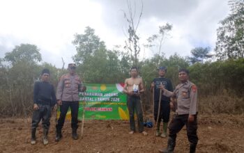 Polsek Cirinten Tanam Jagung Varietas Unggul di Kabupaten Lebak