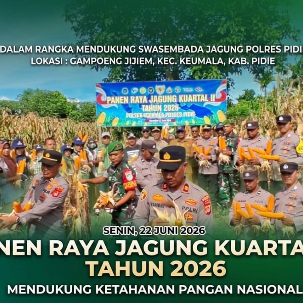 Dukung Swasembada Pangan, Polsek Keumala Polres Pidie Panen Raya Jagung 2,5 Ton di Gampong Jijiem