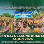 Dukung Swasembada Pangan, Polsek Keumala Polres Pidie Panen Raya Jagung 2,5 Ton di Gampong Jijiem