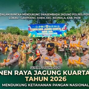 Dukung Swasembada Pangan, Polsek Keumala Polres Pidie Panen Raya Jagung 2,5 Ton di Gampong Jijiem