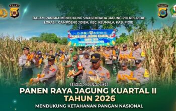 Polsek Keumala Panen Raya Jagung di Pidie