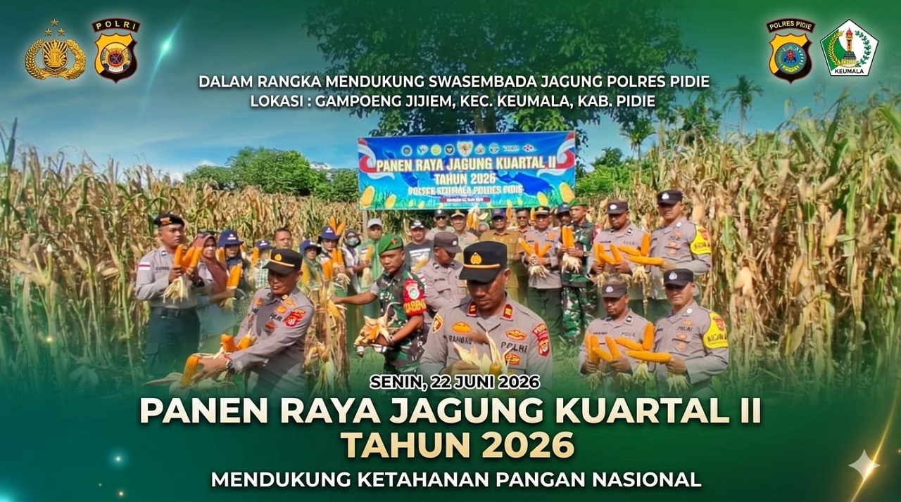 Polsek Keumala Panen Raya Jagung di Pidie