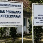 Transparansi APBD 2026, Ini Rincian Belanja Dinas Perikanan dan Peternakan Lampung Timur