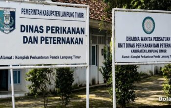 Transparansi APBD 2026