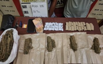 Ungkap Kasus Ganja di Sosa Julu