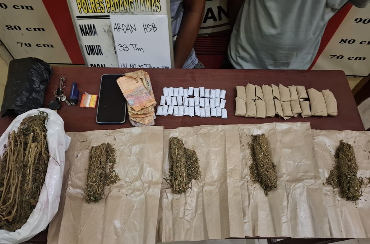 Ungkap Kasus Ganja di Sosa Julu